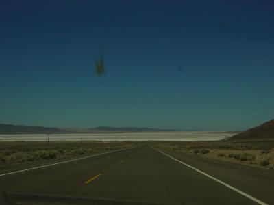 DSC01953.JPG