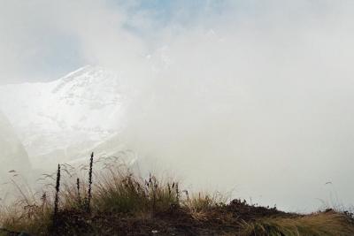 Machupuchare base camp