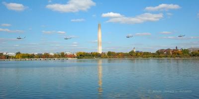Flying Formation Across the Tidal Basin