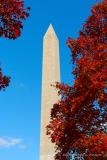 Autumn Colors and the Washington Monument