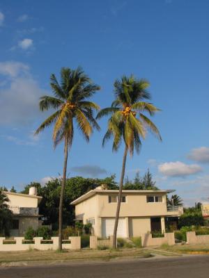 cuba_Playa_del_Este.JPG