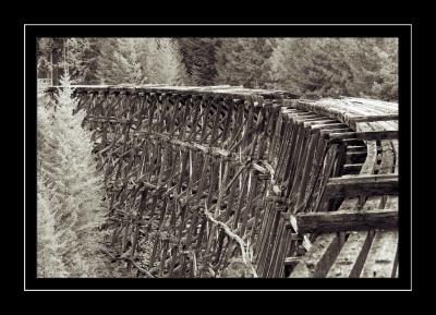 u48/jerichofire/medium/30975460.trestle.jpg