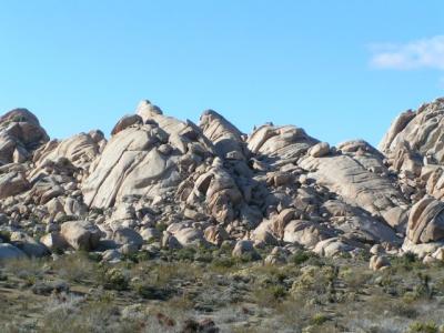 BTmojave082.jpg
