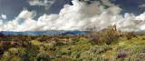 White Tanks storm pano2.jpg