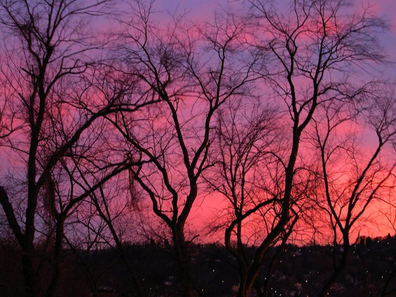 Morgantown sunset 1.jpg