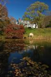 Cedarmere