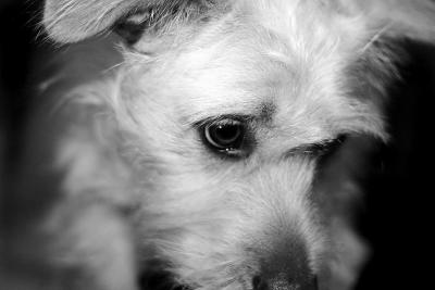 Brody 10/01/2004
