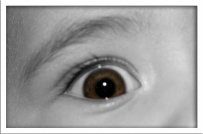 Elisa's Eye