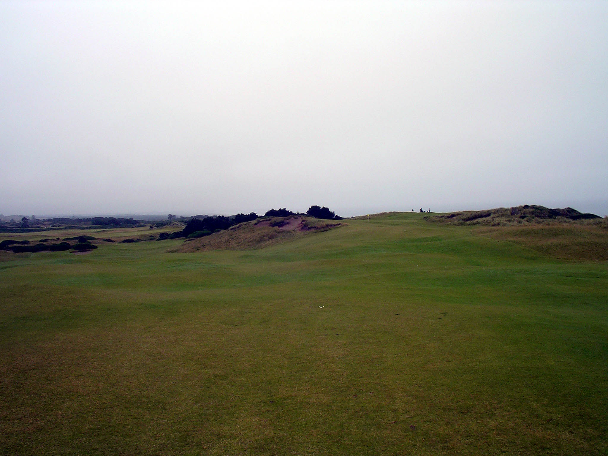 Dual Greens of #9