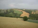 Umbria wheat field