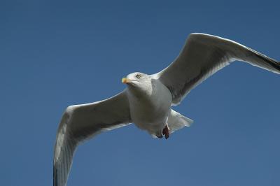 DSC_2448.jpg