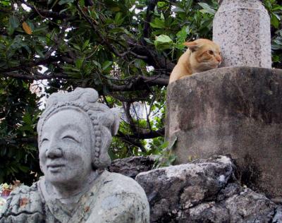 Statue and cat