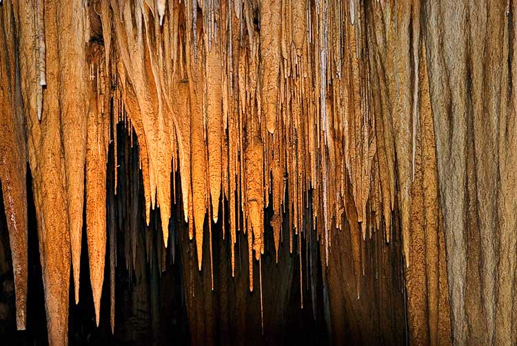 Hastings Caves