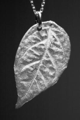 Feb 20 - silver leaf