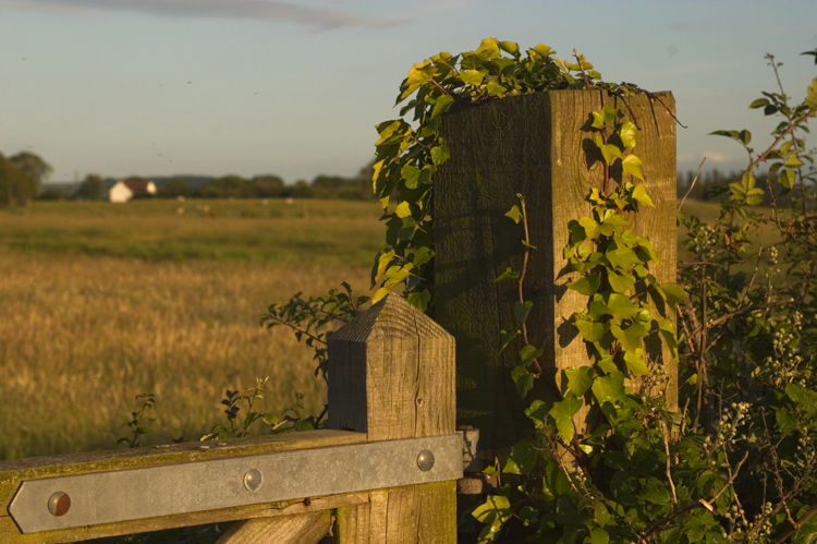 June 28 - into the country