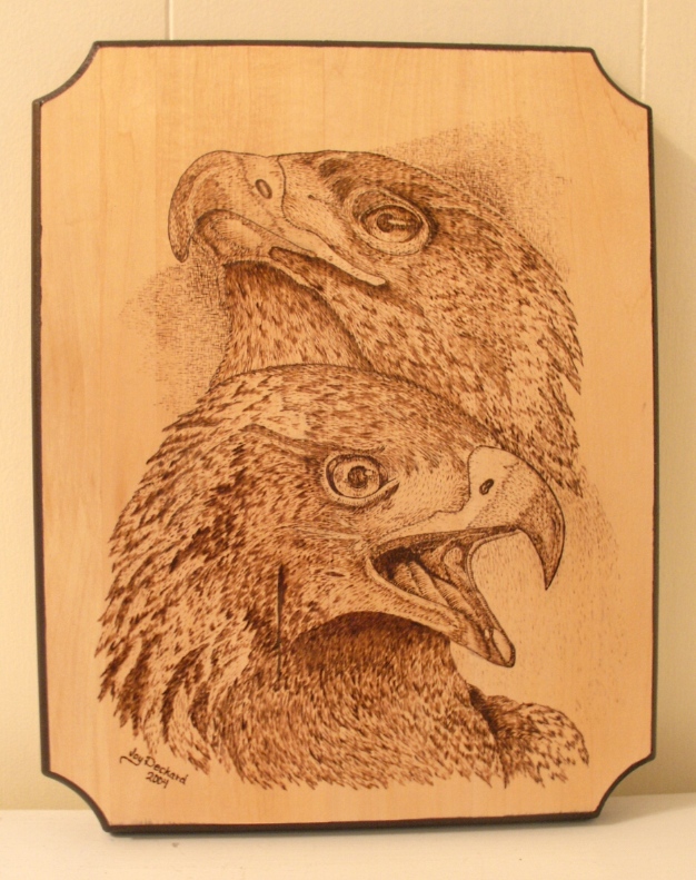 9-Eagles-2.JPG