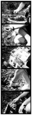 [e]motion: Sample Photo Essay [expression]