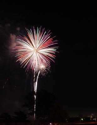 Colors of the Night.jpg