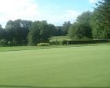 wamp_puttinggreen.jpg