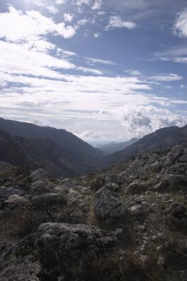 116_1616.jpg