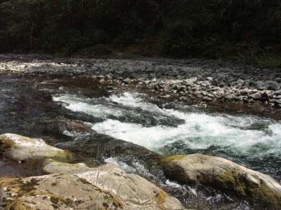 040704 Wilson River