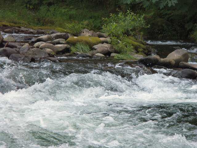 040612 Trask River Rapids