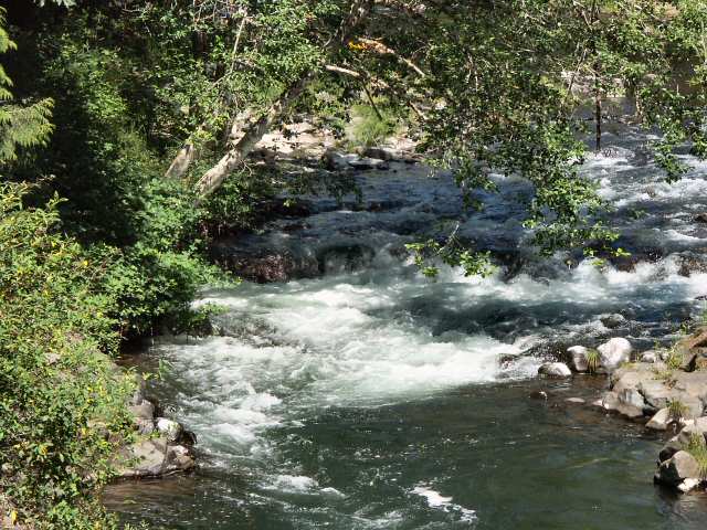 040627 Rapids on Trask River