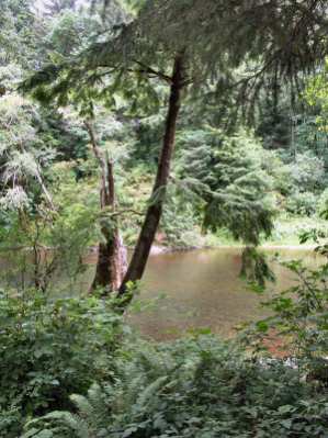 040625 Kilchis River