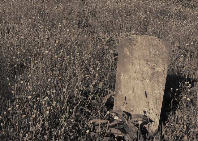 040628 Pioneer At Rest