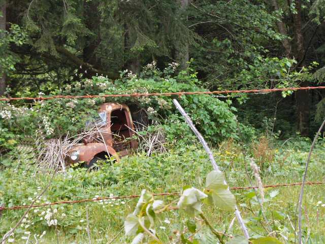 040702 Pickup For Sale