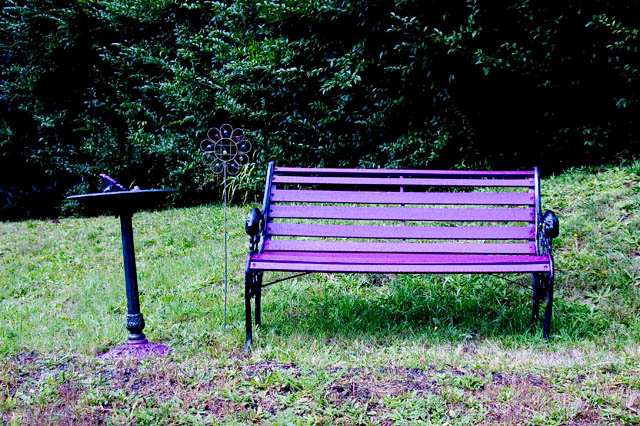 Shades Of Purple