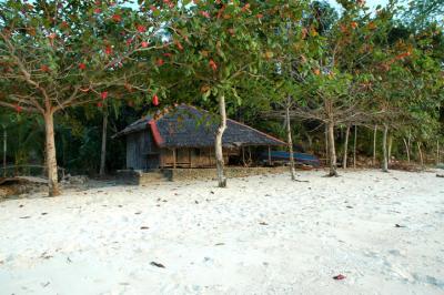 The old Nipa Hut