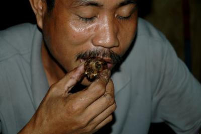 Yummy .. bat skull