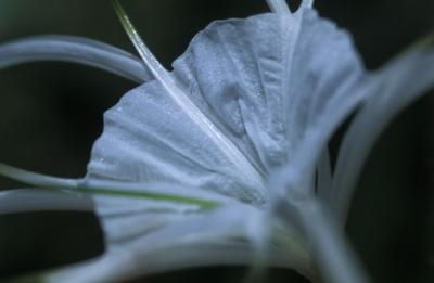 Image1037.jpg