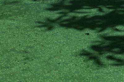 Image1064.jpg