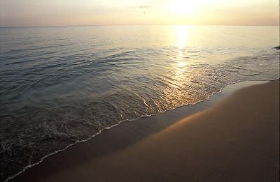 Image1081.jpg