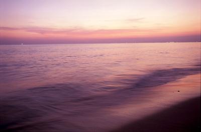 Image1084.jpg