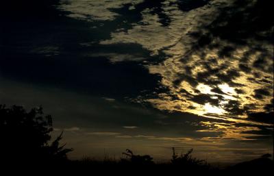 Image1101.jpg