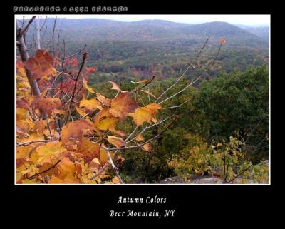 u48/kelster/medium/35568624.BearMtnAutumn5.jpg