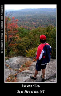 u48/kelster/medium/35568625.BearMtnAutumnView1.jpg