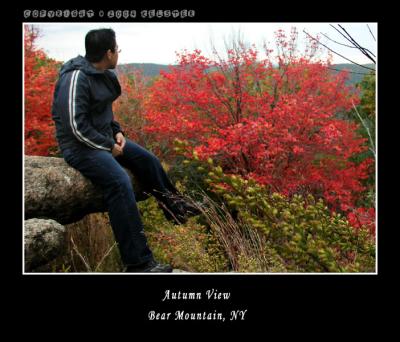 u48/kelster/medium/35568626.BearMtnAutumnView2.jpg