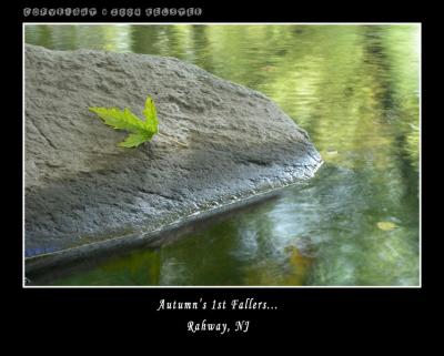 u48/kelster/medium/35568627.RahwayParkLeaf1.jpg