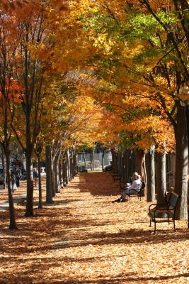 Fall at Princeton, NJ