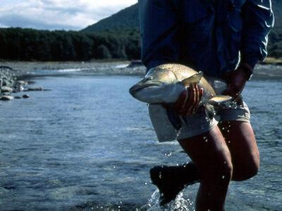 February 29, 1996 --- Hope River, St. Jacob's River, South Island, New Zealand