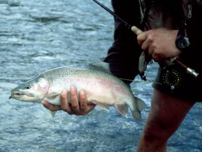 Esk River Rainbow