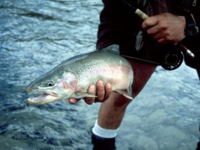 Esk River Rainbow