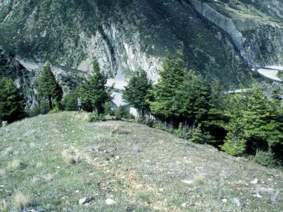 Esk River Valley