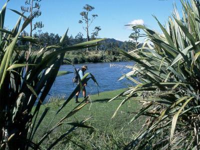 March 3, 1996 --- Upper Grey River/Ellis Creek, South Island, New Zealand