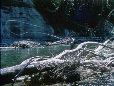 August 21, 1999 --- Cowichan River, British Columbia