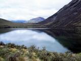 Early Morning Calm on Lake Hawdon